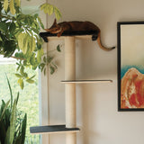 Noba Mural System Kit- The Vertical Playground - FancyPetTags.com