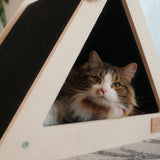 Noba Origin Scratchable Teepee Cat House - FancyPetTags.com