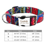 Personalized Collar - 26: FancyPetTags.com