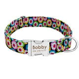 Personalized Collar - 8: FancyPetTags.com