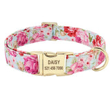 Personalized Collar - 17: FancyPetTags.com