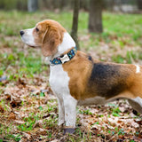 Personalized Collar - 15: FancyPetTags.com