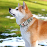 Personalized Collar - 6: FancyPetTags.com