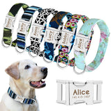 Personalized Collar - 2: FancyPetTags.com