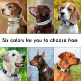 Personalized Collar - 5: FancyPetTags.com