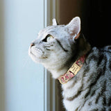 Personalized Collar - 21: FancyPetTags.com