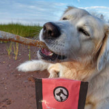 salmon-skin-strips-85g-4794400 - FancyPetTags.com