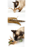 silvervine-catnip-birdie-3021970 - FancyPetTags.com