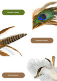 silvervine-catnip-birdie-7152847 - FancyPetTags.com