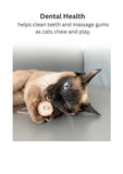 silvervine-corn-goldfish-8230411 - FancyPetTags.com
