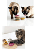 silvervine-donut-5244813 - FancyPetTags.com