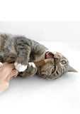 silvervine-feather-pen-7494520 - FancyPetTags.com