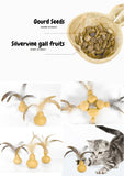 silvervine-gall-fruit-gourd-2794237 - FancyPetTags.com