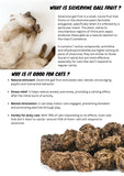 silvervine-gall-fruit-powder-8307583 - FancyPetTags.com