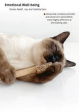 silvervine-toothbrush-2072227 - FancyPetTags.com