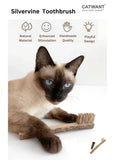 silvervine-toothbrush-5957823 - FancyPetTags.com