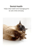 silvervine-twelve-pointed-star-1760750 - FancyPetTags.com