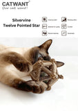 silvervine-twelve-pointed-star-2891697 - FancyPetTags.com