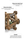 silvervine-twelve-pointed-star-9109109 - FancyPetTags.com