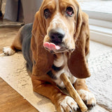 small-coffee-wood-chew-2987575 - FancyPetTags.com