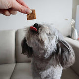 soft-natural-peanut-training-treats-170g-3389655 - FancyPetTags.com