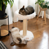the-blush-perch-1-level-cat-tree-1224090 - FancyPetTags.com