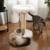 the-blush-perch-1-level-cat-tree-2729403 - FancyPetTags.com