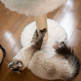 the-blush-perch-1-level-cat-tree-5167529 - FancyPetTags.com