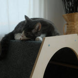 The Hexagone Scratchable Cat House - FancyPetTags.com