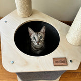 the-lodge-hideout-2-level-cat-tree-7266629 - FancyPetTags.com