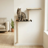 Wall Mounted Cat Scratcher Parkour - FancyPetTags.com