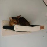 Wall Mounted Scratchable Cat Hammock - FancyPetTags.com