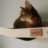 Wall Mounted Scratchable Cat Hammock - FancyPetTags.com