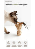 woven-catnip-pineapple-5998285 - FancyPetTags.com