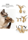 woven-catnip-pineapple-7546949 - FancyPetTags.com