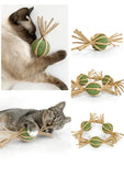 woven-silvervine-gall-fruit-candy-with-catnip-ball-3348848 - FancyPetTags.com