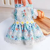 Daisy Lace Pet dress - www.FancyPetTags.com