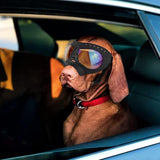 All Season UV Protective Pilot Dog Goggles - 8: FancyPetTags.com