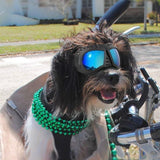 All Season UV Protective Pilot Dog Goggles - 5: FancyPetTags.com