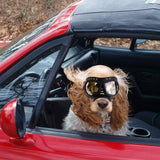 All Season UV Protective Pilot Dog Goggles - 3: FancyPetTags.com