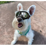 All Season UV Protective Pilot Dog Goggles - 6: FancyPetTags.com