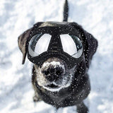 All Season UV Protective Pilot Dog Goggles - 2: FancyPetTags.com