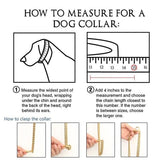 Beautiful 15mm Curb Chain Dog Collar - FancyPetTags.com