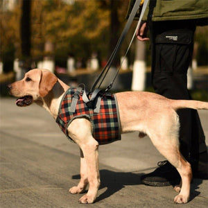 Chest Support Pet Mobility Lift Harness - 1: FancyPetTags.com