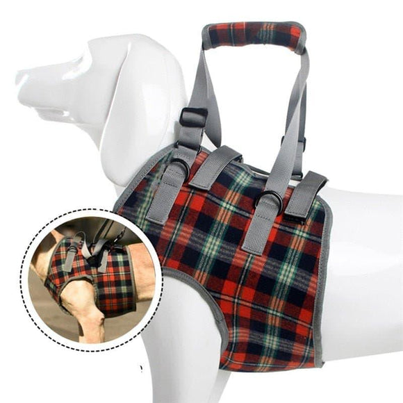 Chest Support Pet Mobility Lift Harness - 1: FancyPetTags.com