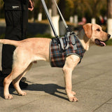 Chest Support Pet Mobility Lift Harness - 3: FancyPetTags.com