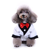 Classic Pet Tuxedo Wear - FancyPetTags.com