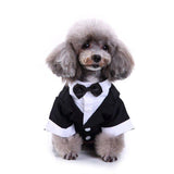 Classic Pet Tuxedo Wear - FancyPetTags.com