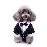 Classic Pet Tuxedo Wear - 4: FancyPetTags.com