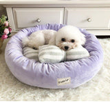 Cloud9 Dream Pet Bed Pettrip